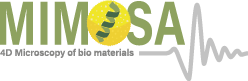 logo mimosa